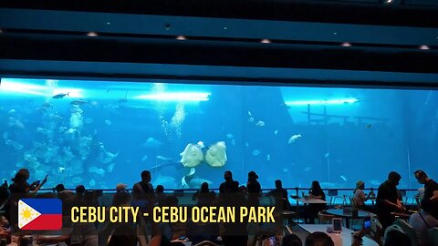 Walking Tour Cebu City - Cebu Ocean Park