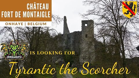 Step into History: Château Fort de Montaigle Tour | Hidden Gems in Belgium