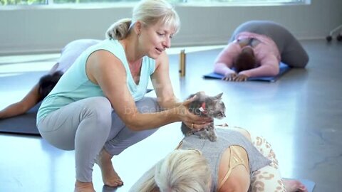 Two mature women in yoga class with cat stock video