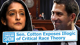 Sen. Cotton Exposes Illogic of Critical Race Theory