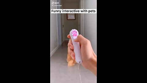 a funny tool for pet