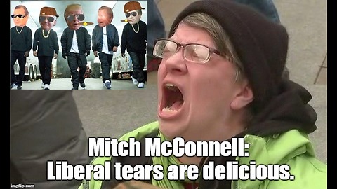 Mitch McConnell: Leftist mobs cannot intimidate us