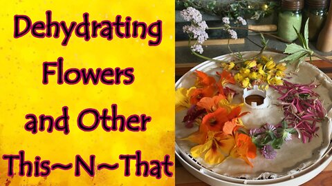 Dehydrating Flowers and Other This~N~That