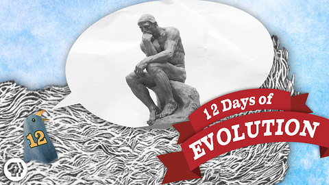 Does Evolution Have a Point? 12 Days of Evolution #12