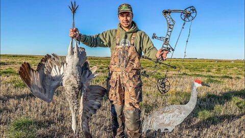 Sandhill CRANE HUNTING With A Bow! (KILL, CLEAN, COOK)