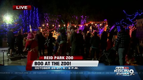 Reid Park's Boo at the Zoo