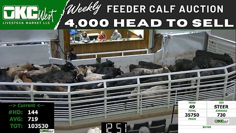 1/4/2022 - OKC West Feeder Calf Auction