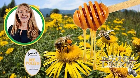 Dr. Jana Schmidt On Bees, Honey, Bee Pollen, Detoxing & Building Our Immune Systems