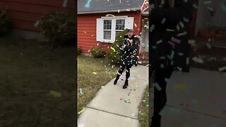 Confetti popper surprise!😂🤣 #shorts #viral #funny #cute