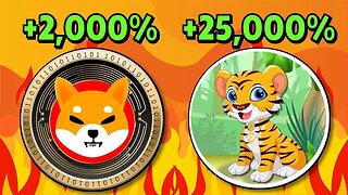 BNB TIGER BSC CRYPTO!! THE NEXT SHIBA INU WILL MAKE MILLIONAIRES!!