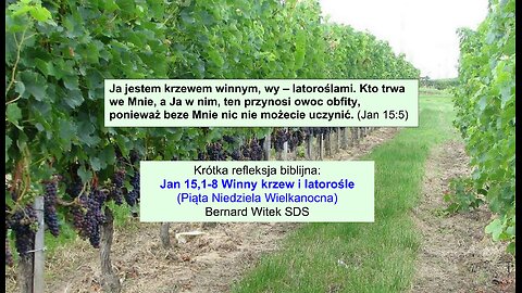 Jan 15,1-8 Winny krzew i latorośle