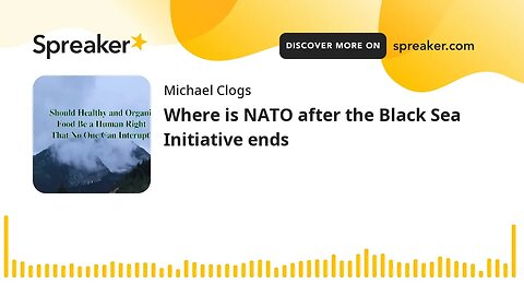 Where is NATO after the Black Sea Initiative ends