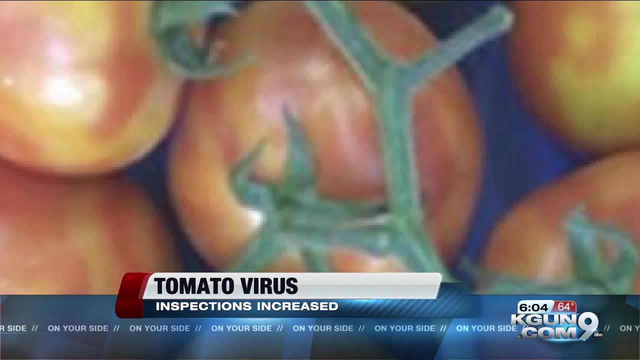 Nogales produce industry defends against tomato virus