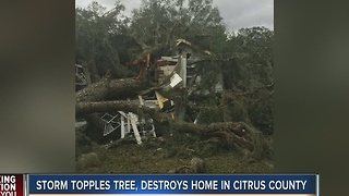 Storm topples tree, destroys home in Citrus County