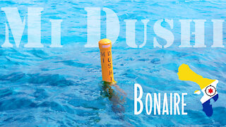 Diving Mi Dushi on Bonaire