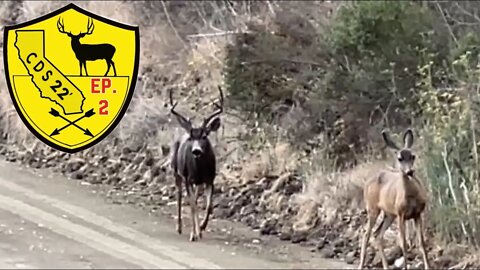 Southern California Mule Deer Hunting.