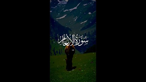 Al-An'am | 54 | سورتہ انعام | Beautiful Quran recitation | Diverttoislam