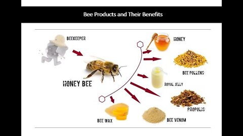 Bee Products - Royal Jelly, Propolis & Pollen