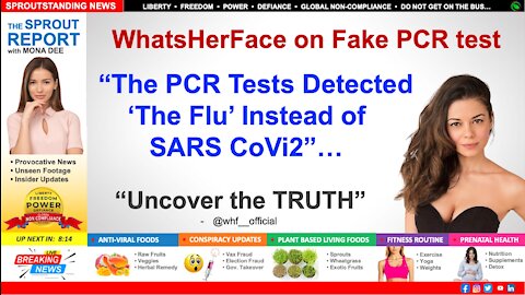 Proof 'The Flu' Virus was Creating Positives on PCR Tests & Not COVID 19 SARS CoVi2