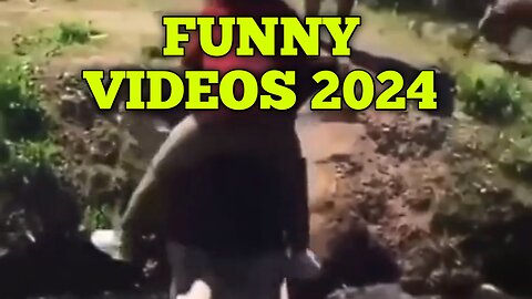 Funny videos 2024😂😂