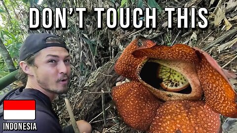 WE FOUND The WORLDS LARGEST FLOWER In INDONESIA [Episode 17]