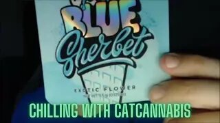 I Tried the Blue Sherbet Pressure Pack! - Chilling With CatCannabis