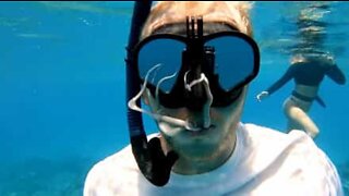 Octopus performs "dental check-up" in diver's mouth