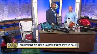Tools that simplify lawn upkeep during the fall