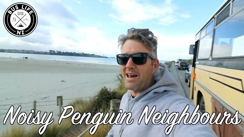 We camped beside a Penguin nest! | Ep. 163