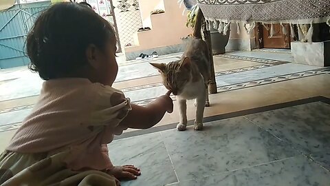 Cute Baby Daughter Playing with Cat!! New Videos 2024 Funny Video
