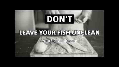How Long Can You Wait To Clean A Fish? ~ Cleaning YOUR Fish ~ | YourFishGuide.com
