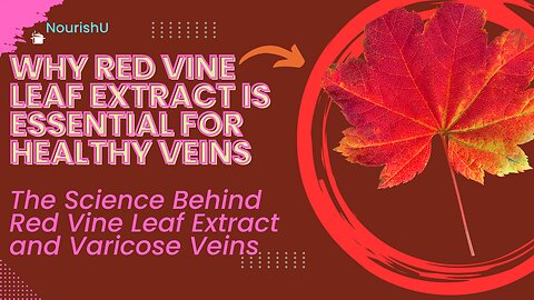 How Red Vine Leaf Extract Can Transform Your Vein Health