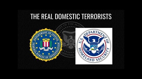 The Real Domestic Terrorists