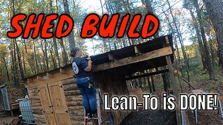 I BUILT A POLE BARN SHED BY MYSELF | Finishing Lean-To | Woman Builds Tiny House in the Woods ALONE