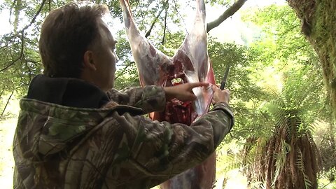 How to butcher a deer down to the last bone - cervena
