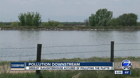 Greeley beef company sued for releasing slaughterhouse waste into the South Platte River