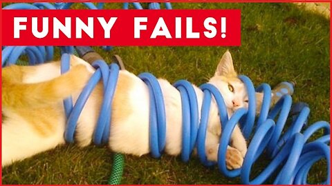 ANIMAL FAILS COMPILATION - THE FUNNIEST VIDEOS ON THE NET