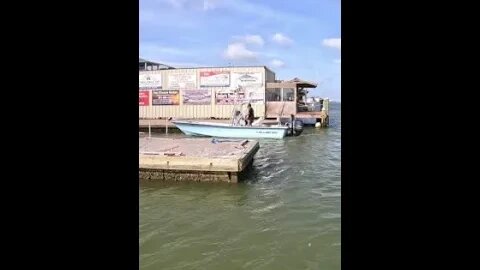 🎣🎏🦈 Bull Reds in Port O'Connor, TX