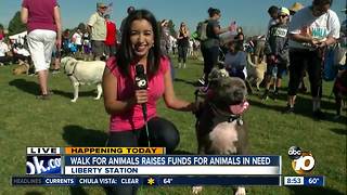 Walk for animals raises funds for animals in need