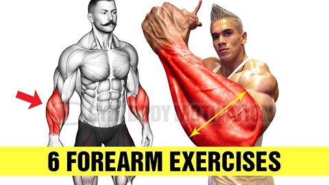 6 BEST Exercises for Bigger Forearms