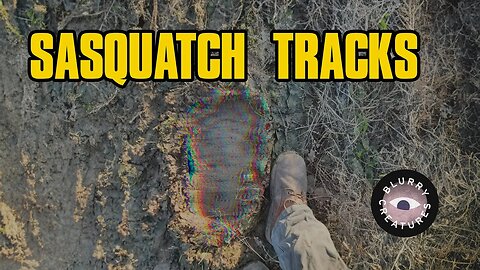 EP: 36 Sasquatch Tracks with Jeff Smith - Blurry Creatures MEMBERS TRAILER