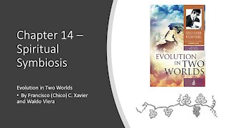 Evolution in Two Worlds – Chapter 14 – Spiritual Symbiosis