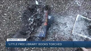 Books burned at Little Free Library in Madison Heights