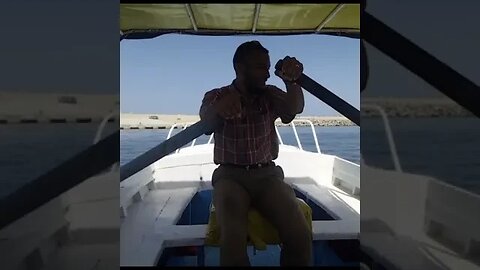 Watch The Best Relaxing Experience - Rowing The Boat At The Most Beautiful Place in Alexandria