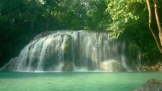 WATERFALL RUSTLE | Nature's Best Ambience Sound For Relaxation & Sleep