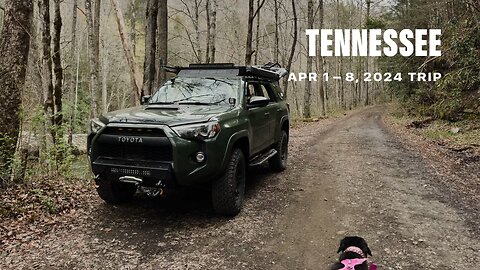 Tennessee Adventure