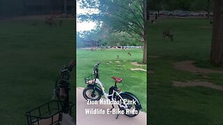 Zion National Park Wildlife E-Bike Ride #short #shorts