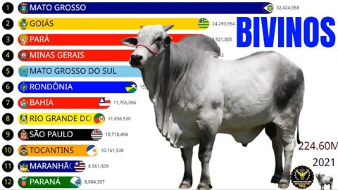 Estados com os Maiores Rebanhos Bovinos do Brasil