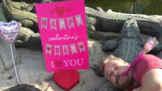Man decides to celebrate Valentine's Day with a bunch of crocodiles