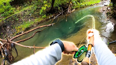 Catching HUGE Brown Trout In Small Creeks!